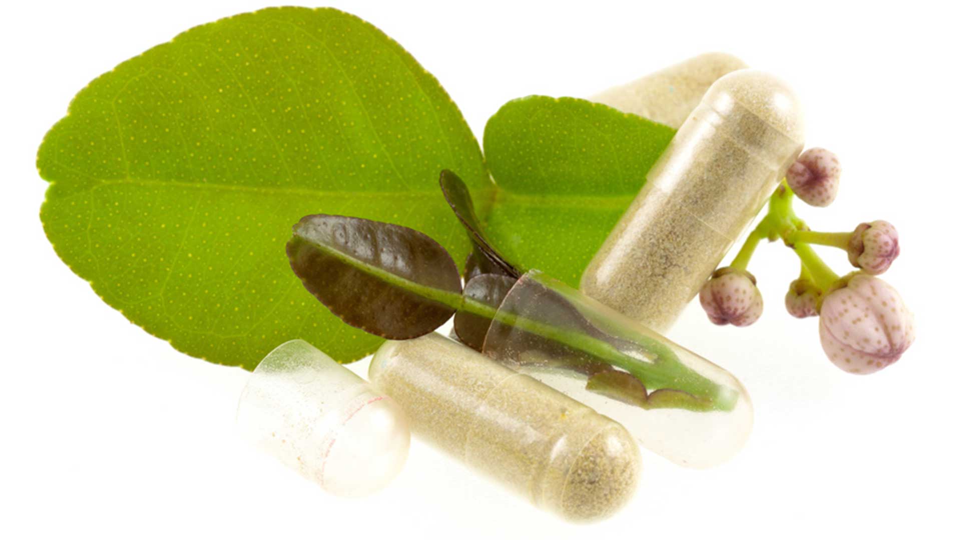 phytotherapie-aubigny-les-clouzeaux